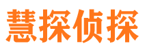 共青城市调查公司